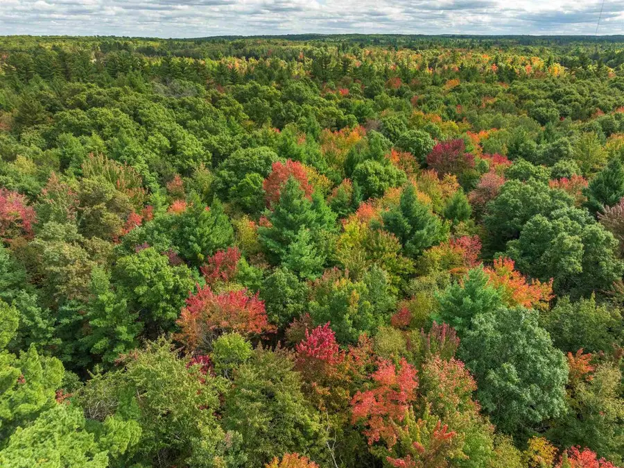 120+/- AC Horse Creek Acres, Bridge Creek, WI 54729 - #3