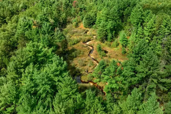 160+/- AC Goat Ranch Rd Acres, Augusta, WI 54729