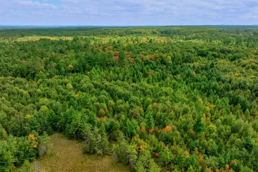 160+/- AC Goat Ranch Rd Acres, Bridge Creek, WI 54729 - #3