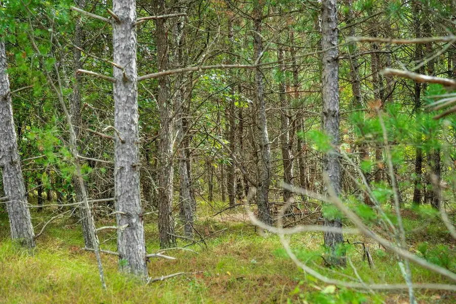 43.93+/- AC Horse Creek Rd Acres, Bridge Creek, WI 54729 - #2