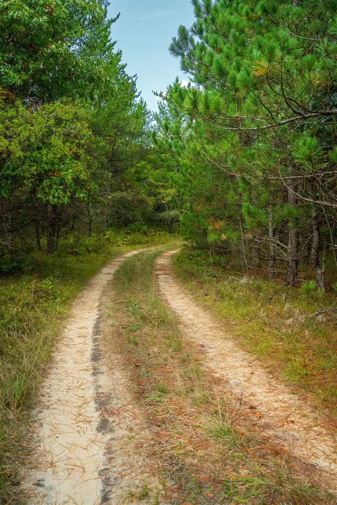 43.93+/- AC Horse Creek Rd Acres, Bridge Creek, WI 54729 - #3