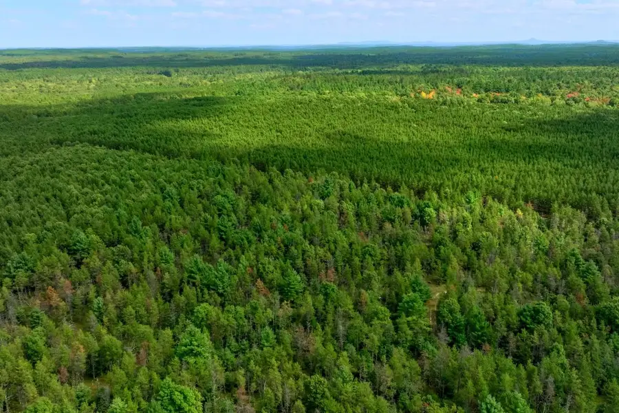 43+/- AC Horse Creek Rd Acres, Bridge Creek, WI 54729 - #2