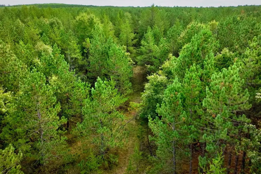 80+/- AC County Rd H/Horse Creek Rd Acres, Bridge Creek, WI 54729 - #2