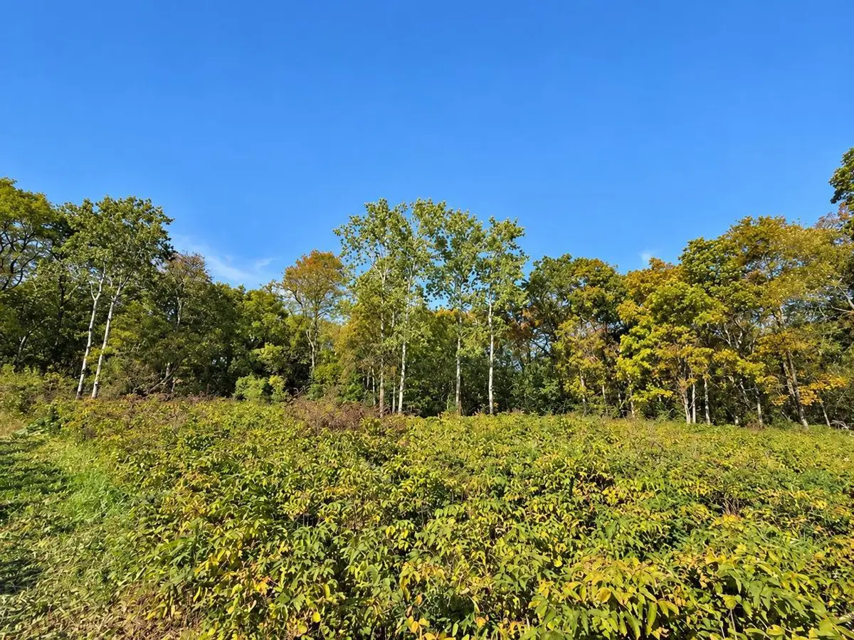 Lot 1 CSM 12361, Black Earth, WI 53515 - #1