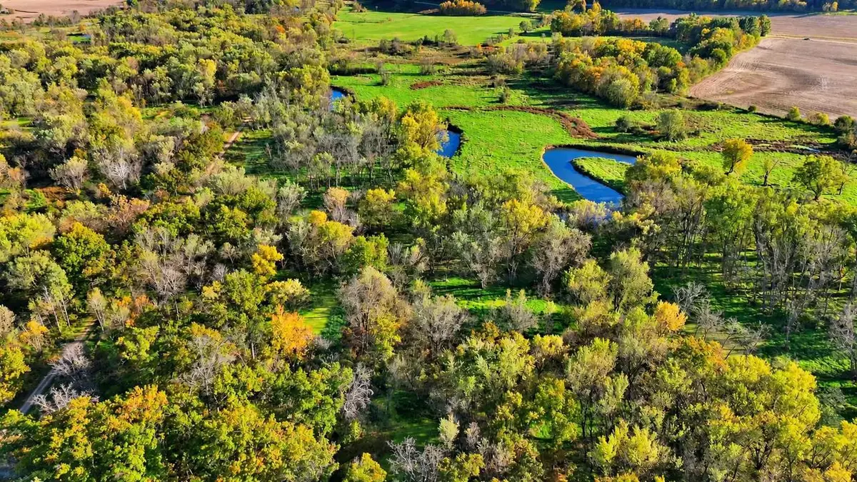 87 +/- Acres County Hwy TB Road, Richland Center, WI 53581 - #1