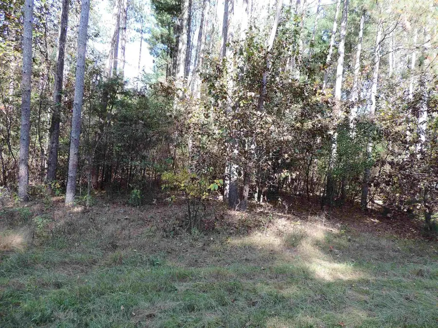 9999 Phylane Road, Spring Green, WI 53588 - #2