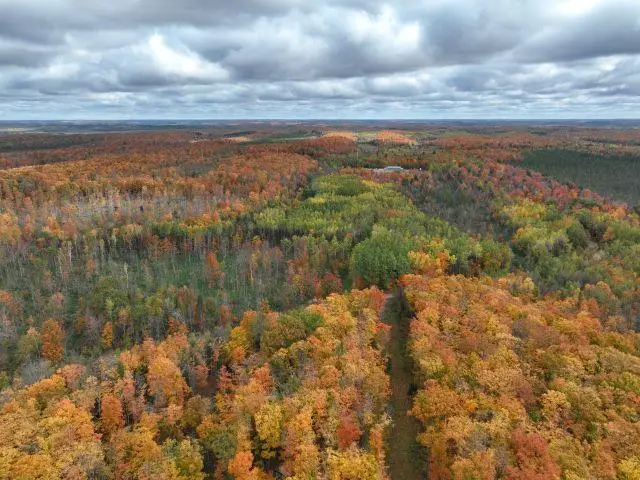 Lot 3 Ison Road, Crandon, WI 54520 - #2
