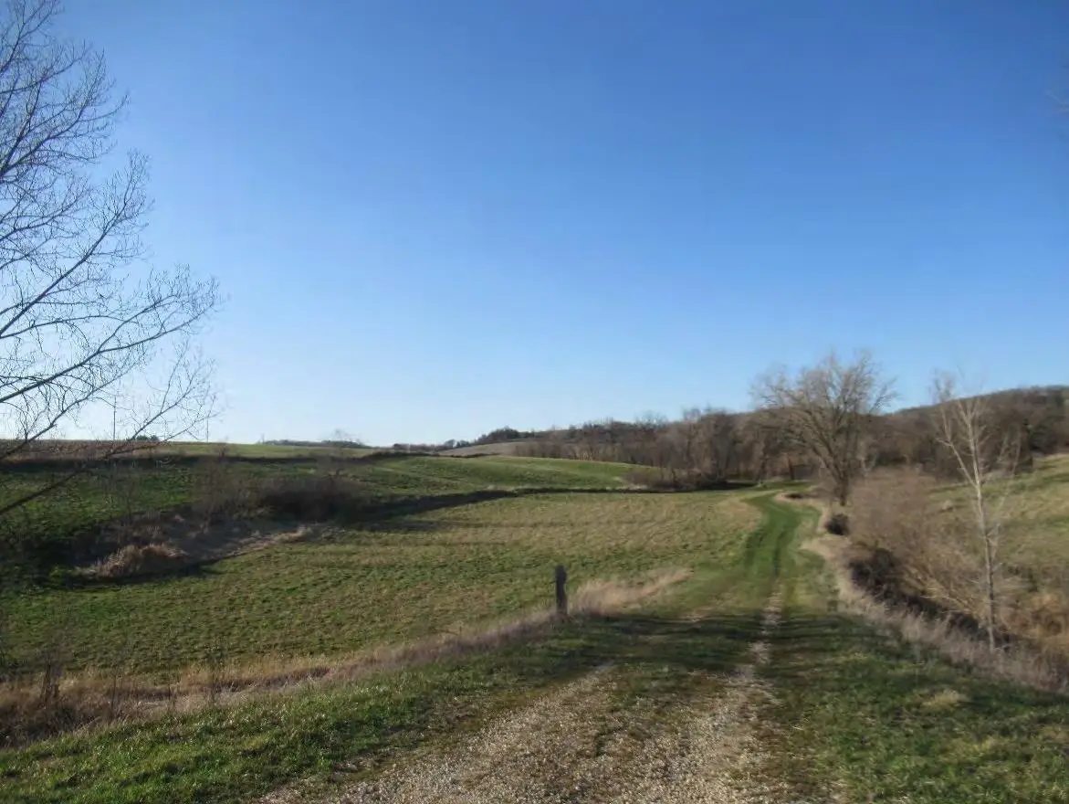 XXX Asbury Road, Durango, IA 52039 - #1