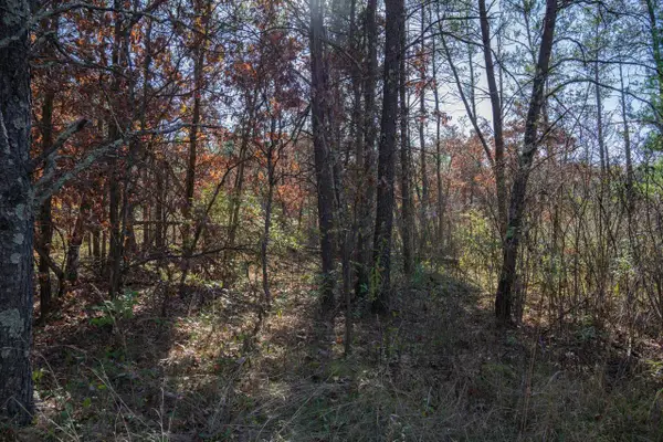 1051 W 13th Lane, Arkdale, WI 54613