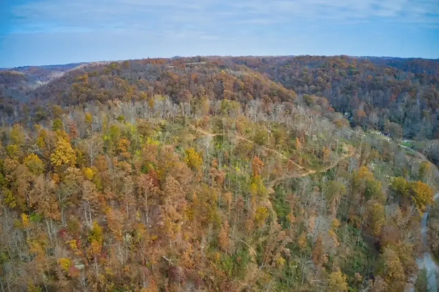 7577 9 Mile Creek Road, Lesage, WV 25537 - Image #3