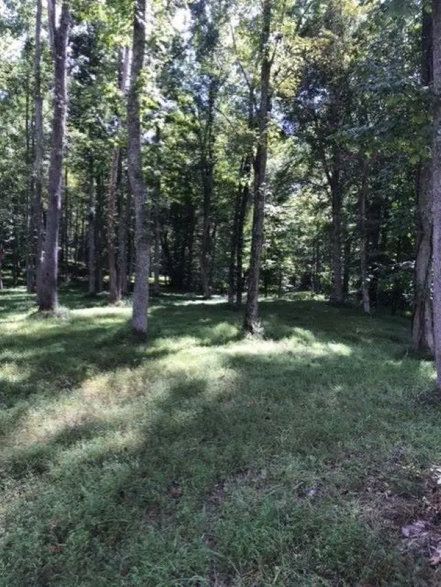 Anthony Lane, Kenova, WV 25530 - Image #1