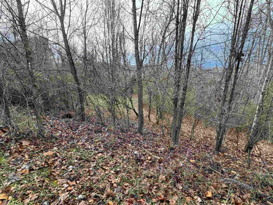 LOT 12 LONGWOOD ROAD, Huntington, WV 25705 - Image #3