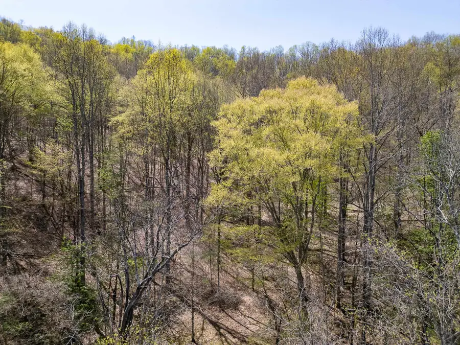 0 Route 3 Mahone Creek Road, Genoa, WV 25517 - Image #2