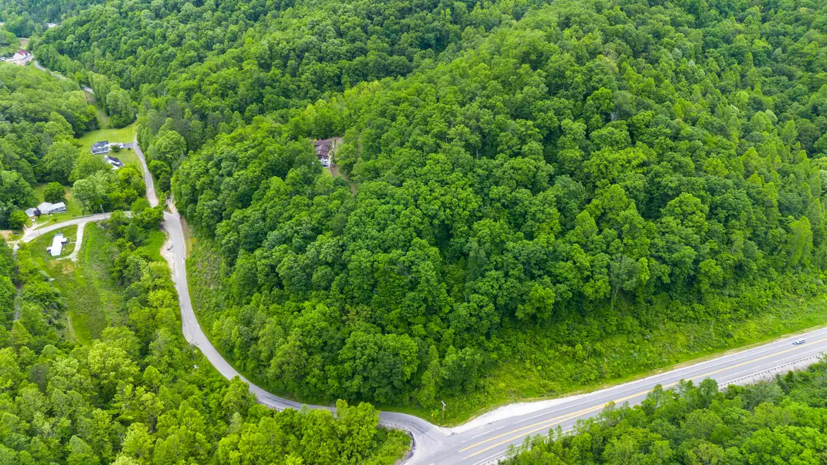 166 Webb Branch Road, Crum, WV 25669 - Image #1