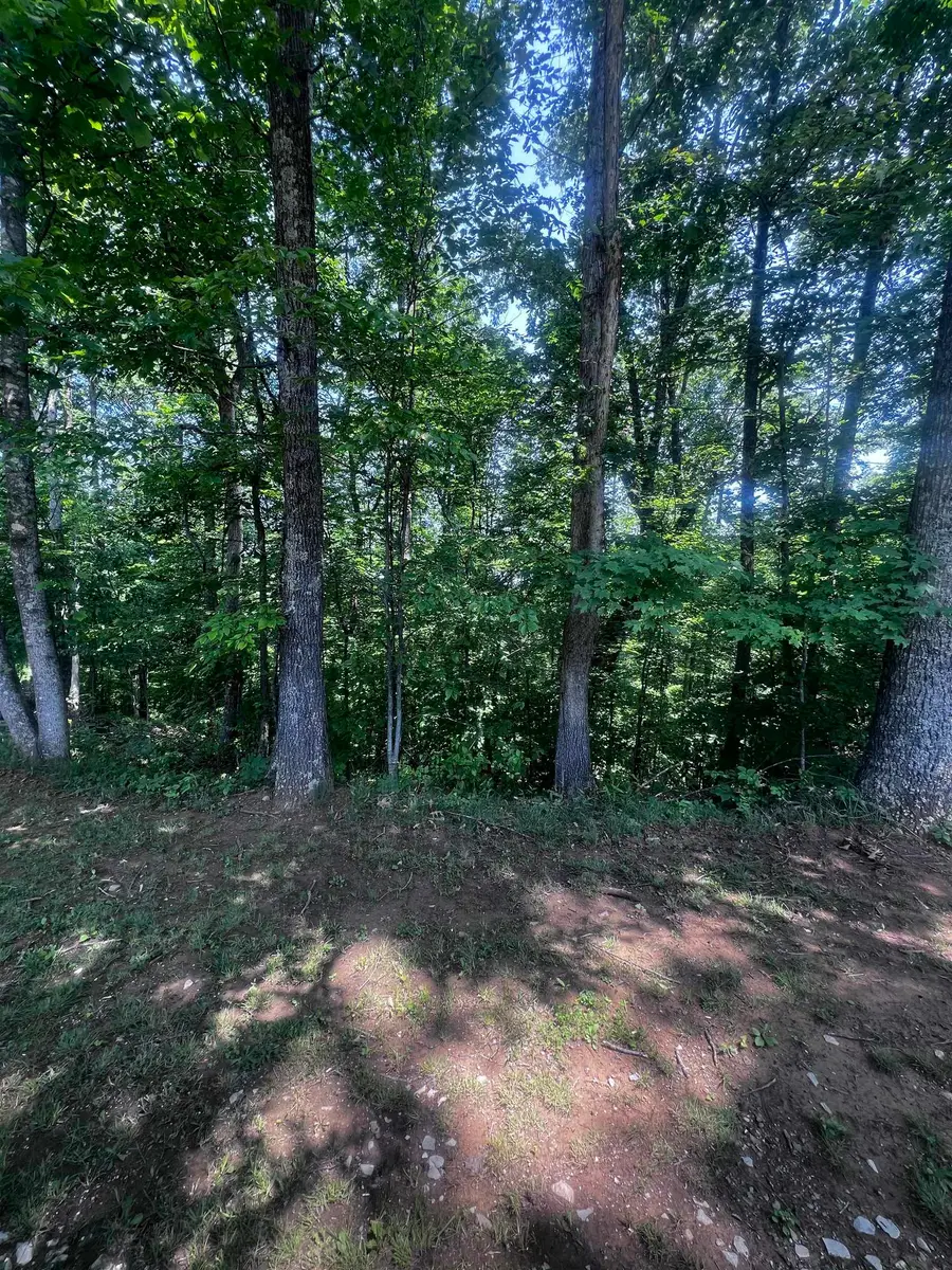 LT 24 Jericho Road, Ona, WV 25545 - Image #2