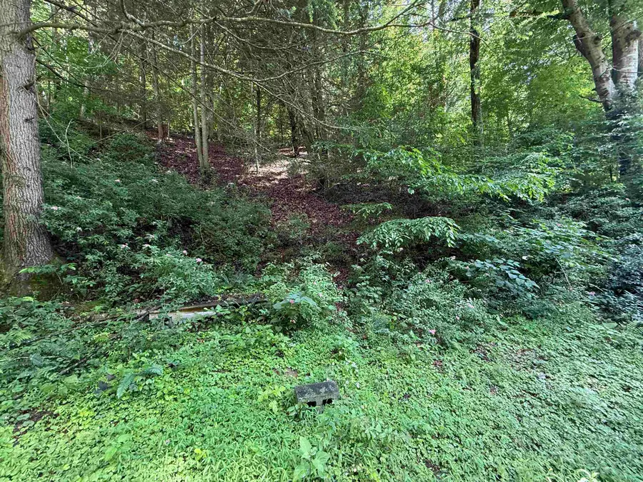 1528 Coco Road, Elkview, WV 25701 - Image #2