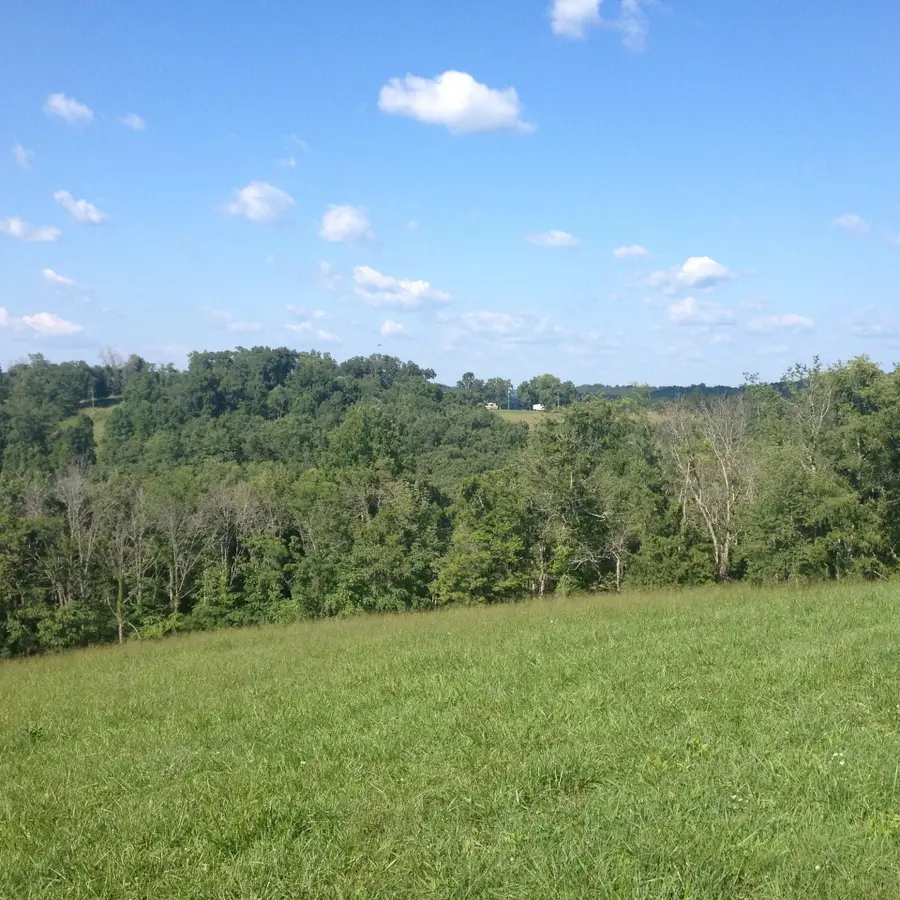 3944 Napier Ridge, Genoa, WV 25517 - Image #3