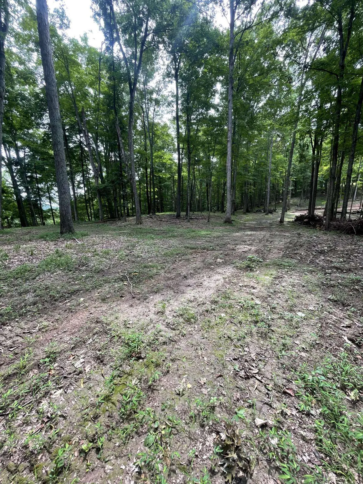 Lot 2 Moore Road, Lavalette, WV 25535 - Image #1
