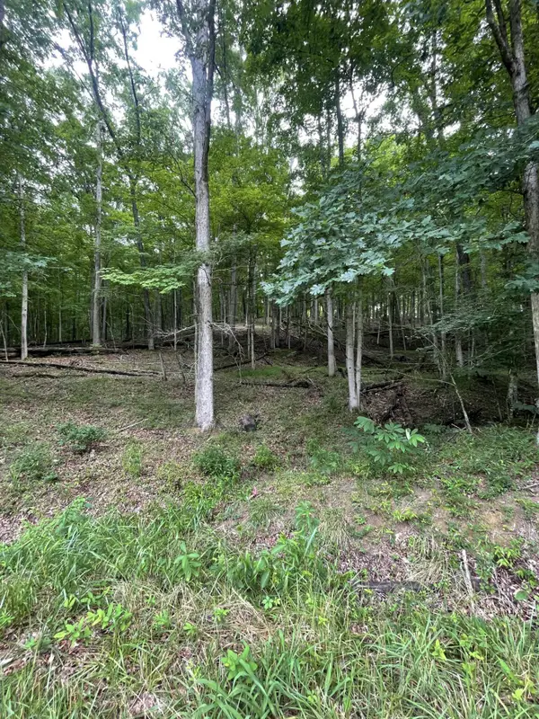 Lot 5 Moore Road, Lavalette, WV 25535