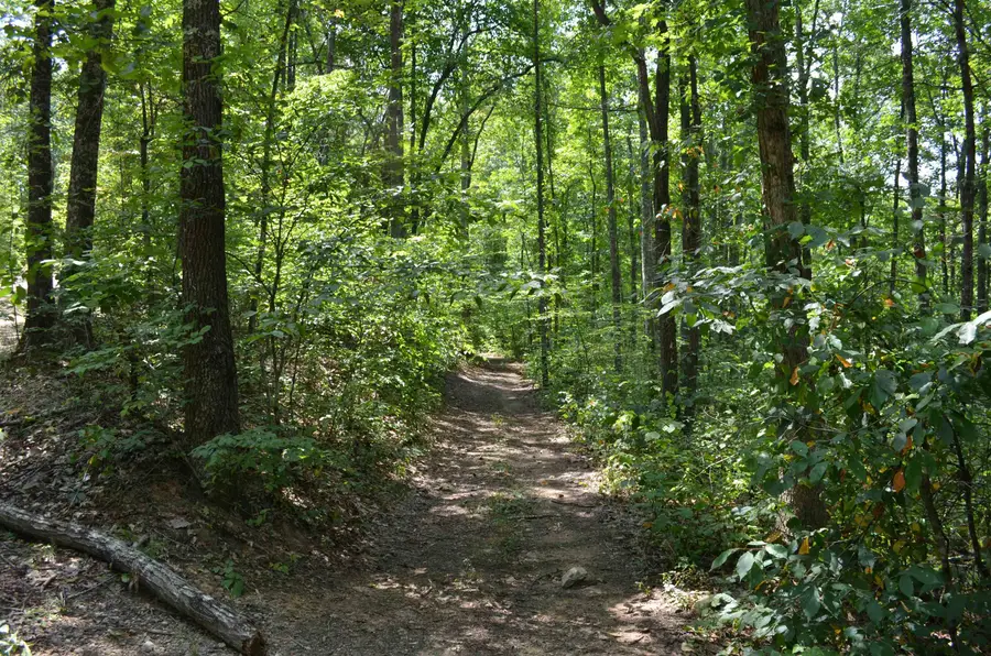 0 Paddle Creek, Fort Gay, WV 25514 - Image #3