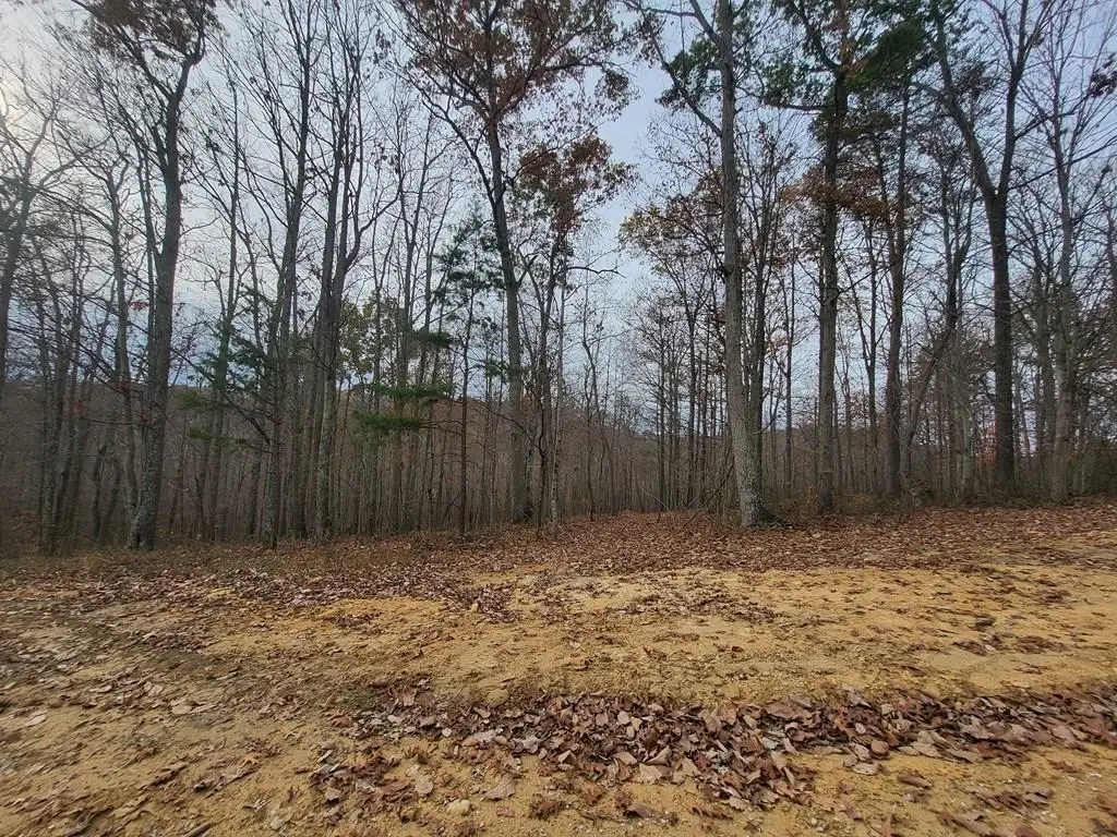 0 Neff Bratton, South Webster, OH 45682 - Image #1