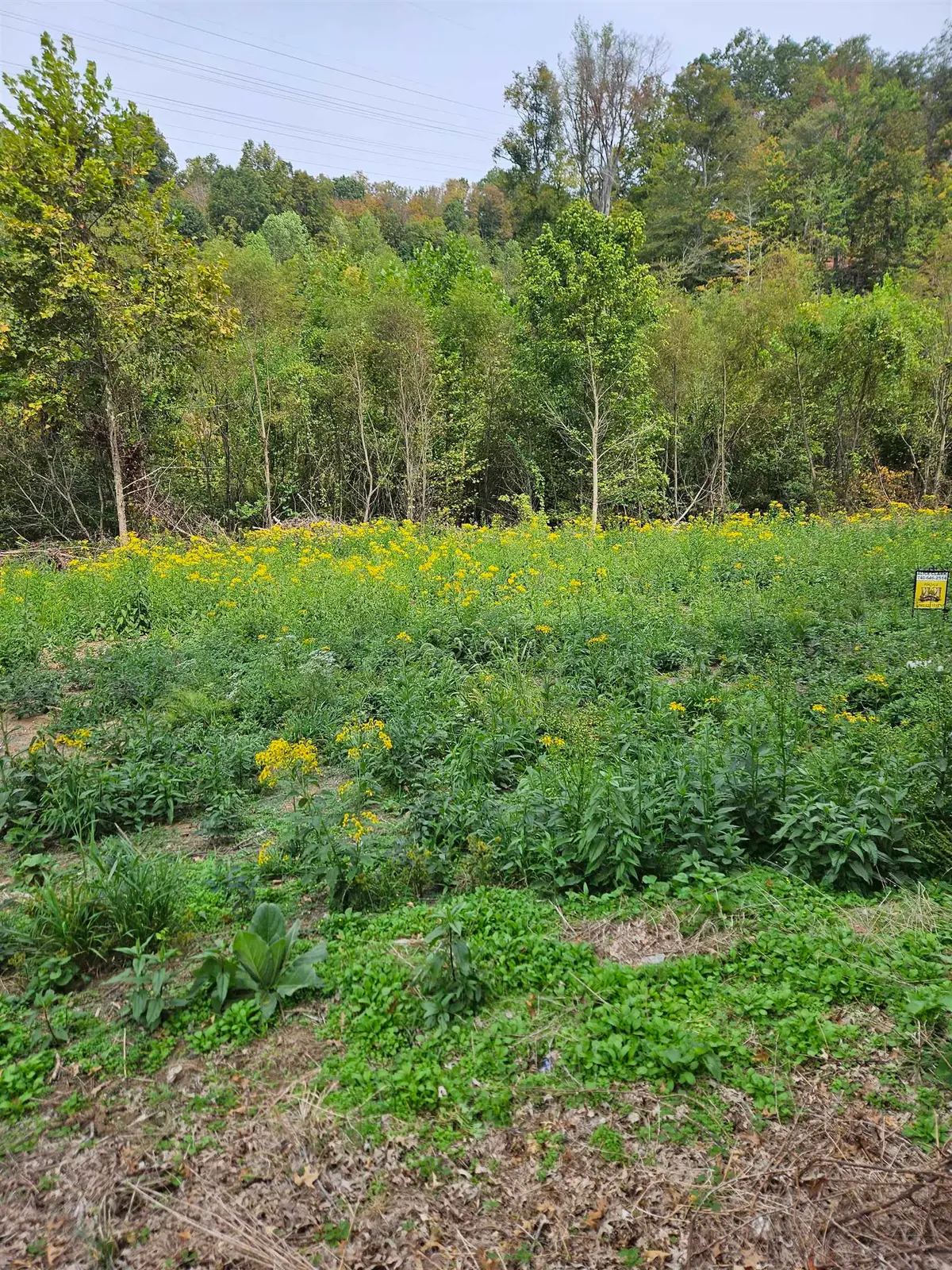 0 Twp R 135, South Point, OH 45680-0000 - Image #1