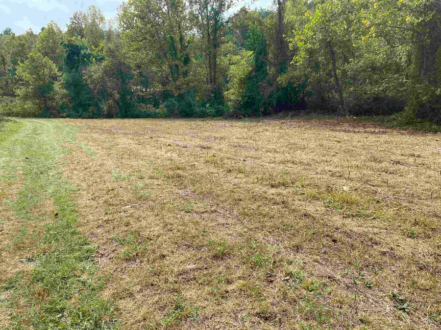 0  Lot 4 County Rd 70, Proctorville, OH 45669 - Image #2