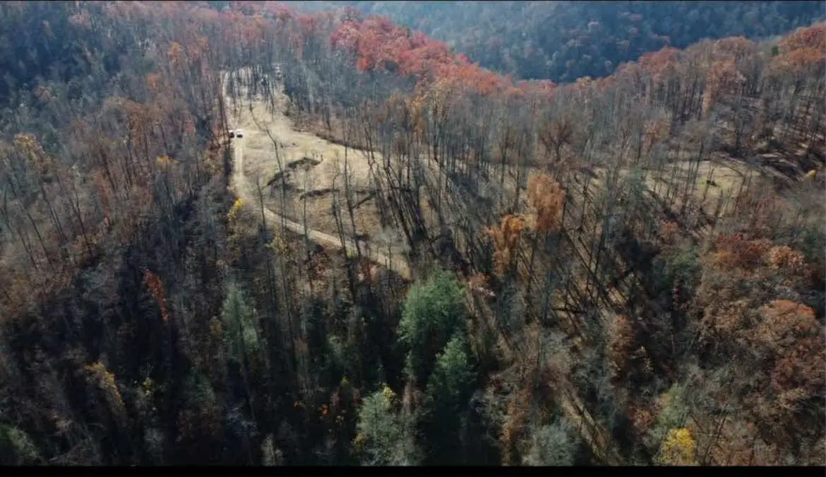 00 county rd. 41, Dunlow, WV 25511 - Image #1