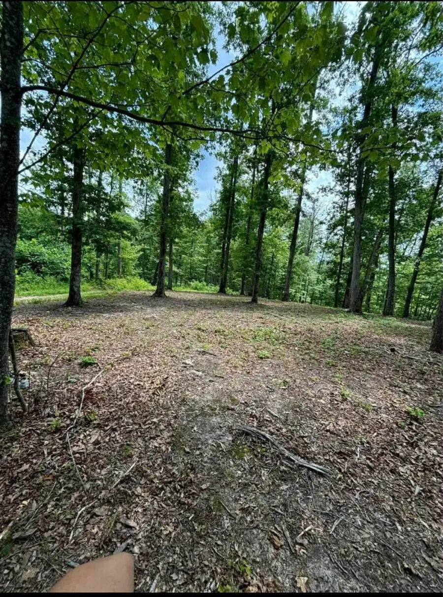 00 county rd. 41, Dunlow, WV 25511 - Image #3