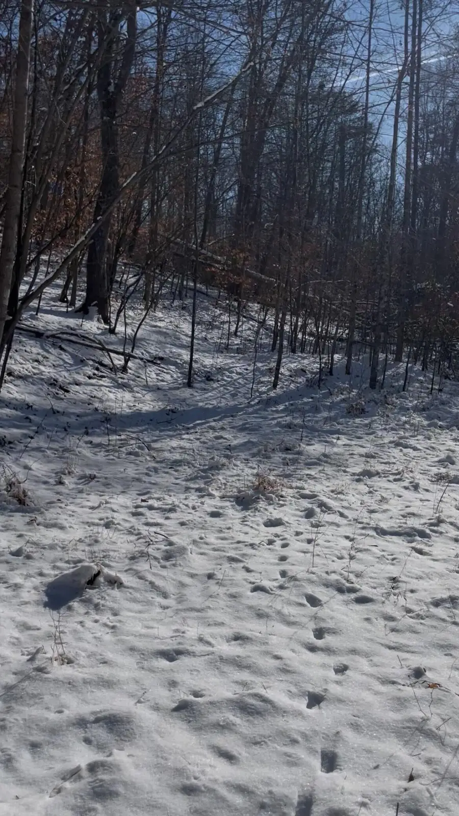 0 Cedar Drive, Scott Depot, WV 25560 - Image #2