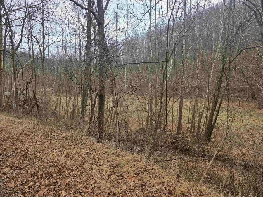 1007 Dry Branch Lane, Apple Grove, WV 25502 - Image #2