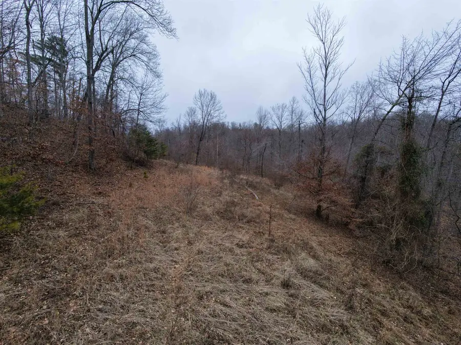 00 Left Fork Cooper Ridge Road, Milton, WV 25541 - Image #2