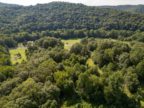 40 Two Mile Road, Branchland, WV 25506