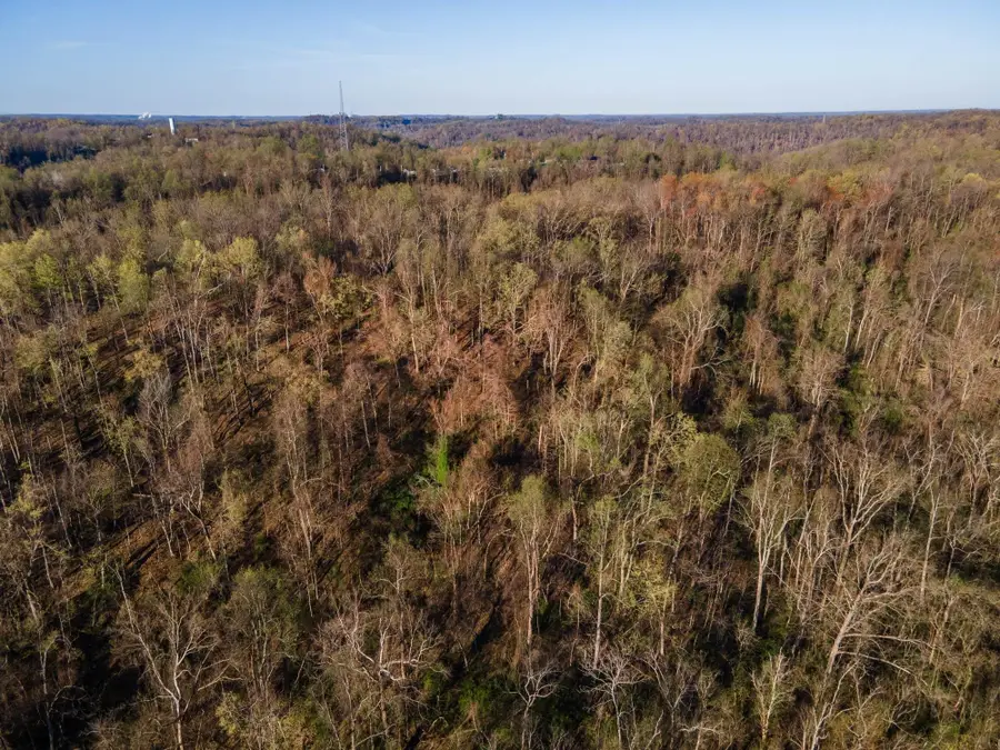 3171 County Road 31, Chesapeake, OH 45619 - #3