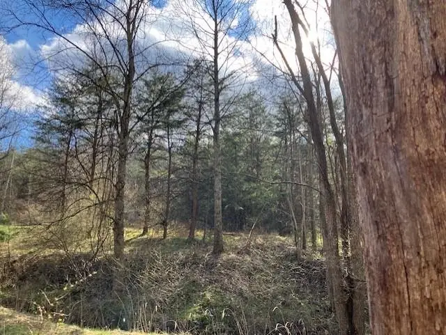 1402 Pierce Rd, Leon, WV 25123 - #1