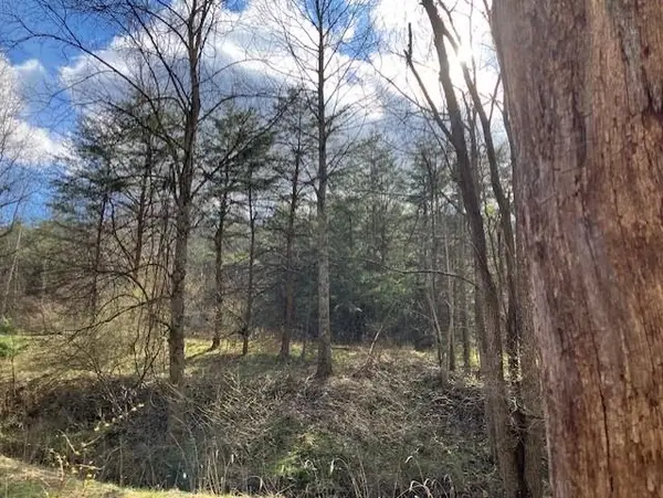 1402 Pierce Rd, Leon, WV 25123