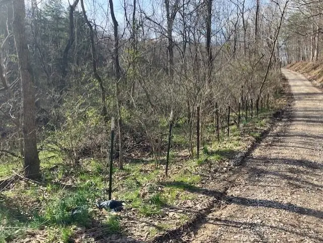 1402 Pierce Rd, Leon, WV 25123 - #3