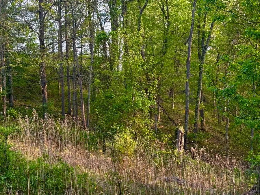 Lots 34 & 35 Jo Lin Estates, Huntington, WV 25704 - #2