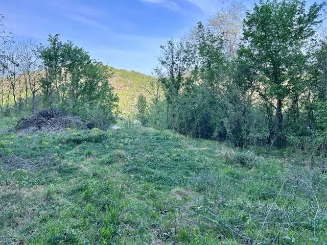 5.383 AC Falls Branch Rd., Lavalette, WV 25535 - #1