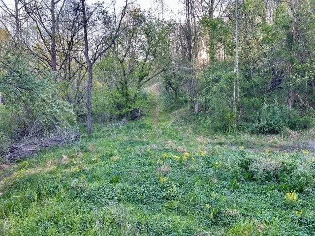 5.383 AC Falls Branch Rd., Lavalette, WV 25535 - #2