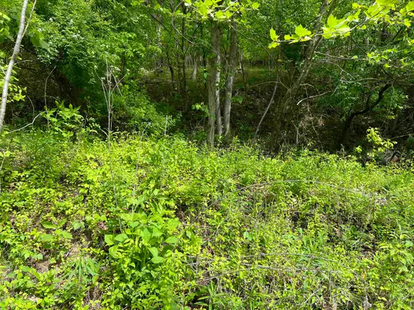 19787 East Lynn Road, East Lynn, WV 25512