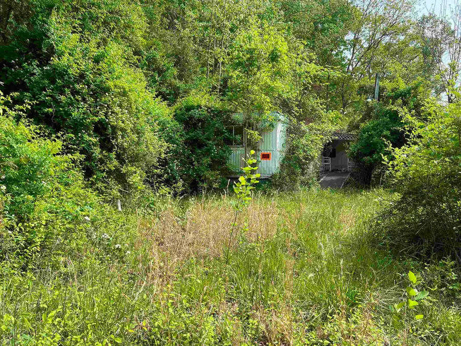 19787 East Lynn Road, East Lynn, WV 25512 - #2