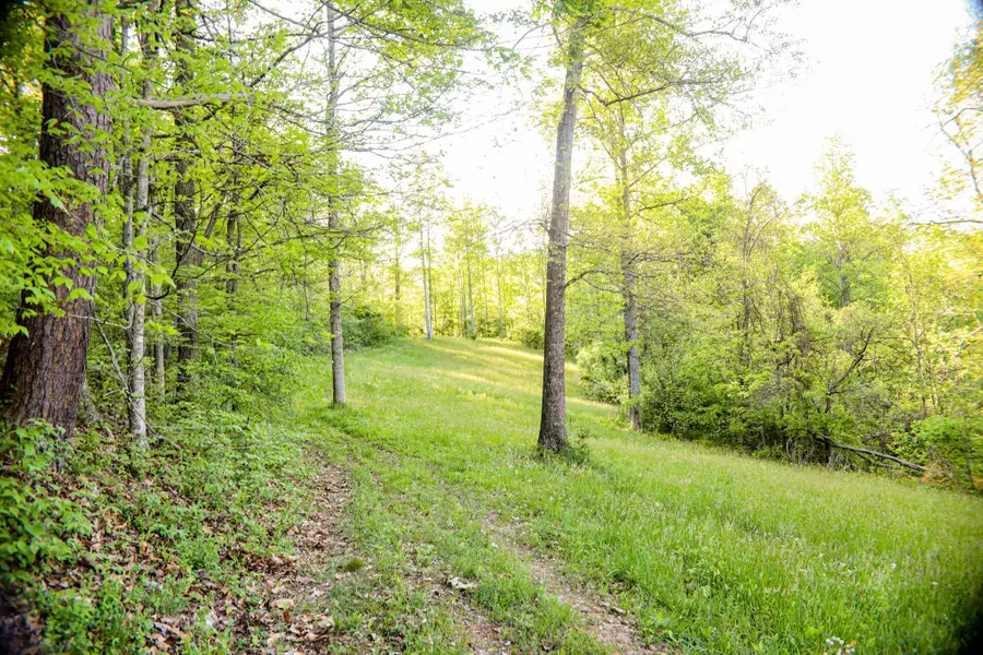4136 Bryan Creek Road, Glenwood, WV 25520 - #3