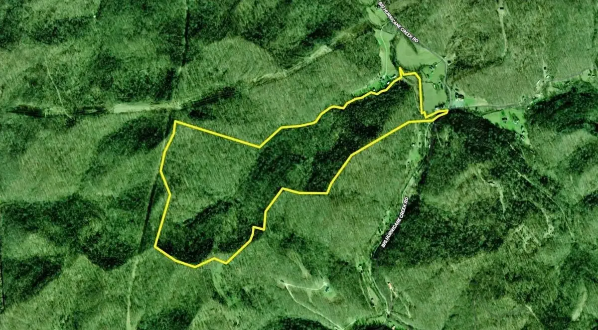 3480 Big Hurricane Creek Road, Fort Gay, WV 25514 - #1