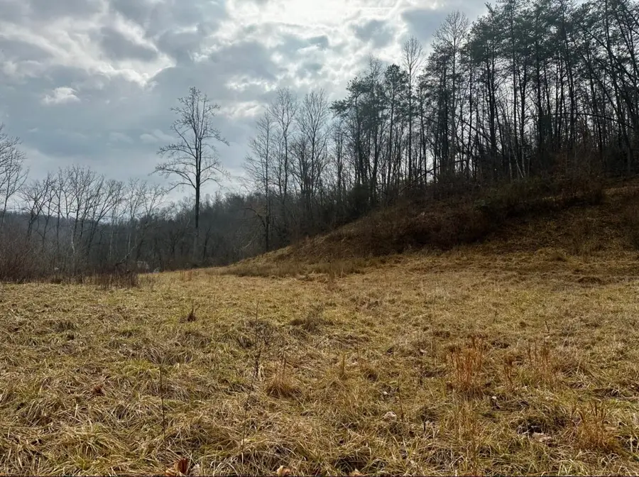 3480 Big Hurricane Creek Road, Fort Gay, WV 25514 - #2