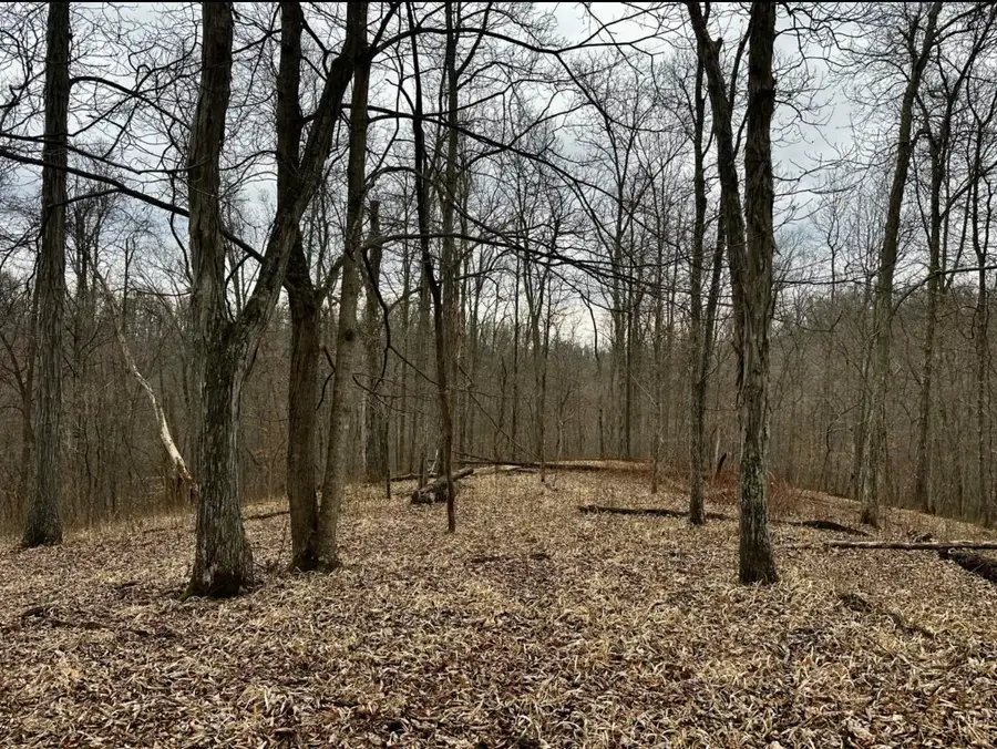 3480 Big Hurricane Creek Road, Fort Gay, WV 25514 - #3