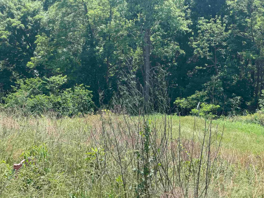 1234 Township Road 250, South Point, OH 45680 - #2
