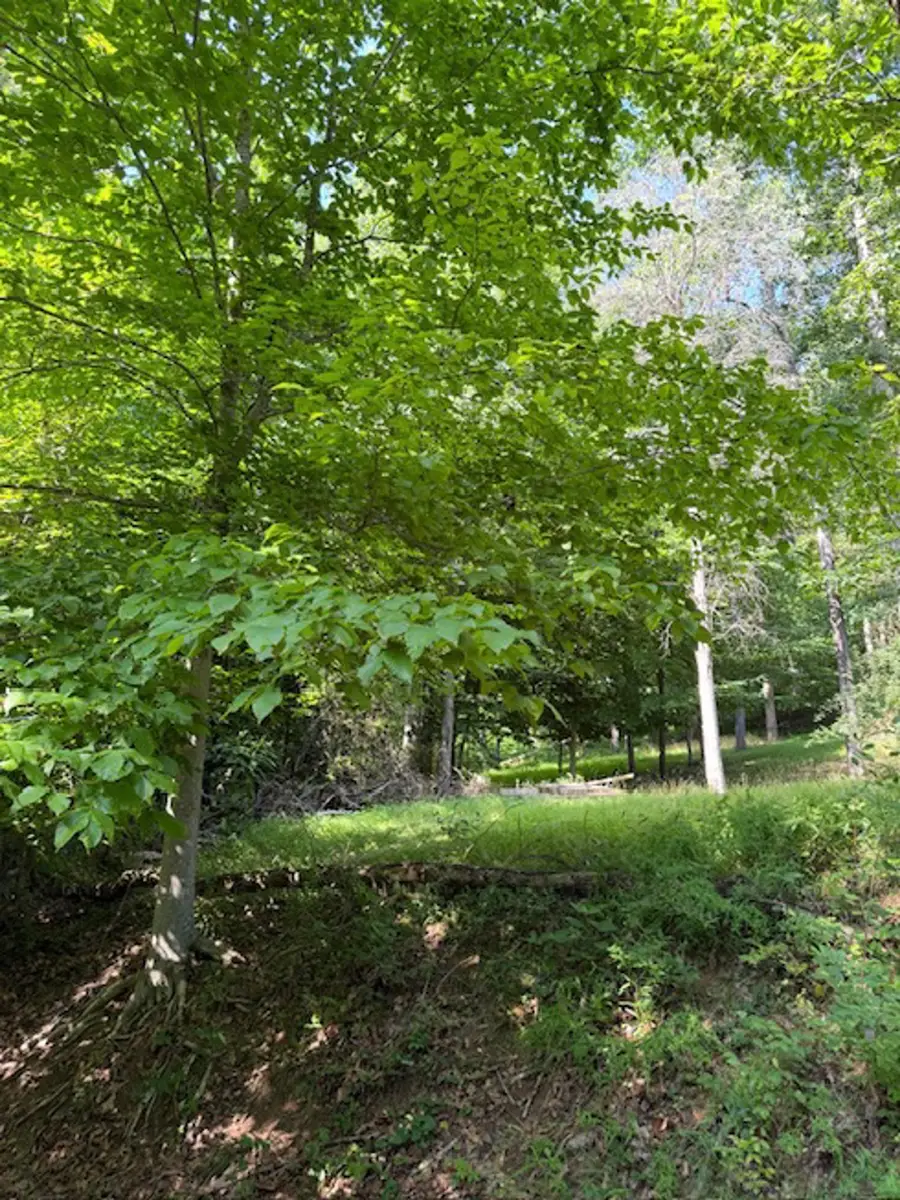 Amey Drive, Barboursville, WV 25504 - #2