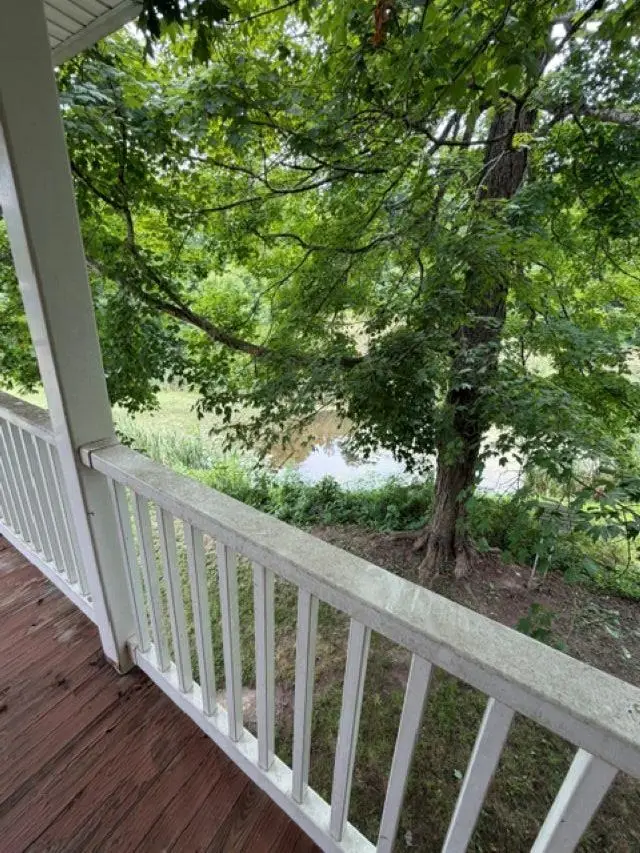 158 Hardwick Ridge Road, Fort Gay, WV 25514 - #3