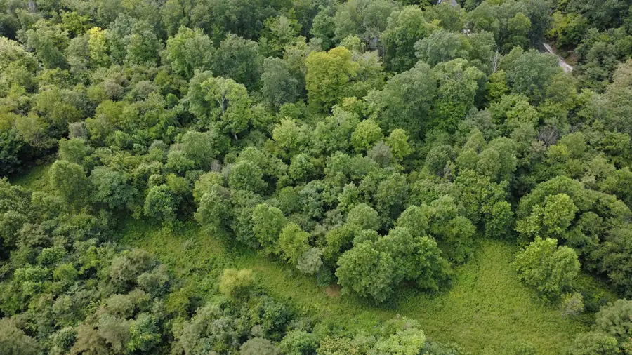 Land Merritts Creek Road, Huntington, WV 25702 - #3